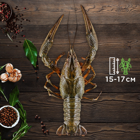 крупные 3 категория
Вес: от 80 грамм
Длина: до 22 см
в 1 кг : 6-9 шт
3000 грн ЗАКАЗАТЬ
